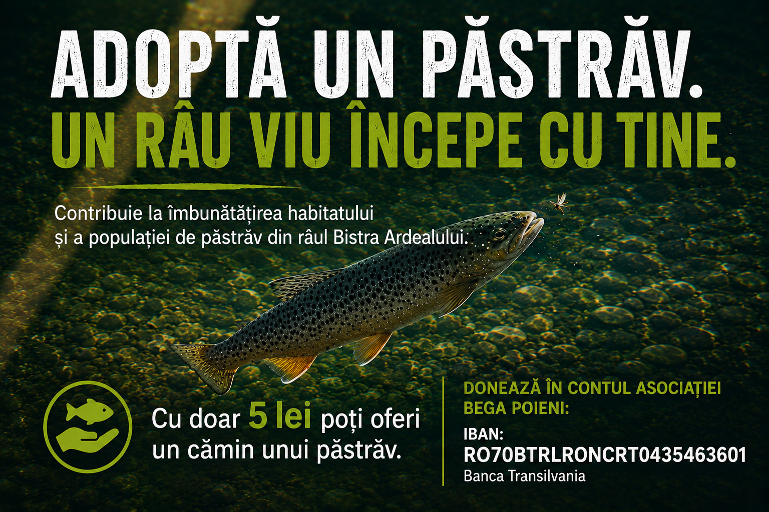Adopta un Pastrav!
